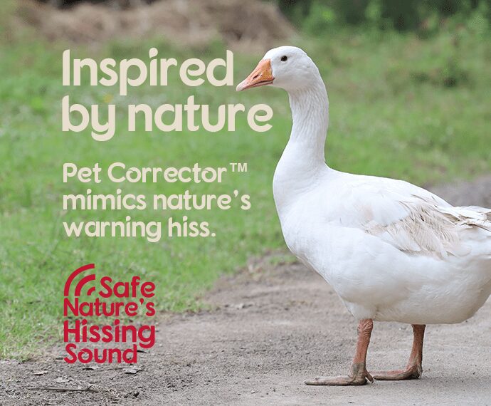 inspired by nature's hiss