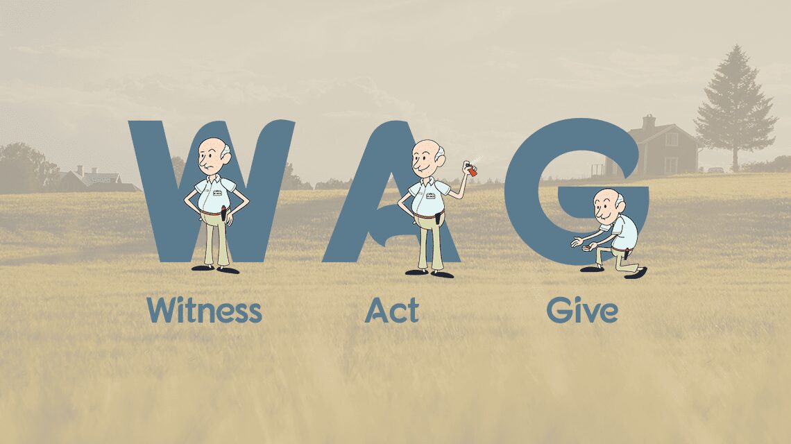 Witness behaviour, Act with Pet Corrector and Give Treat (WAG)