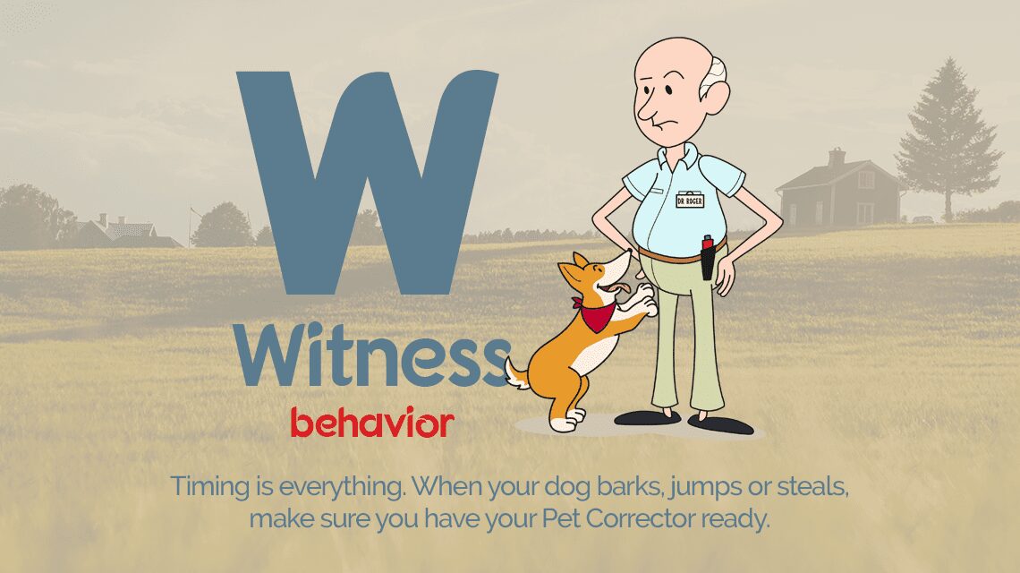 Witness undesirable behaviour