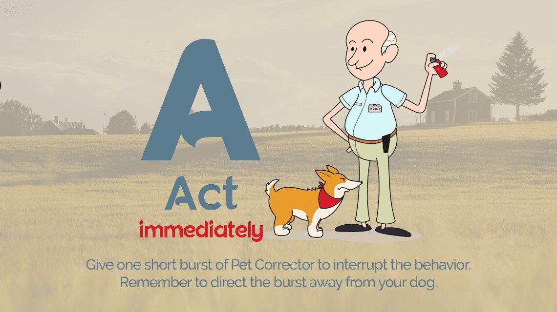 Act immediately with pet corrector
