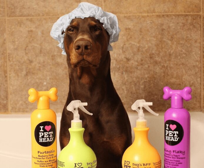 A dog in a shower cap next to some Pet Head products
