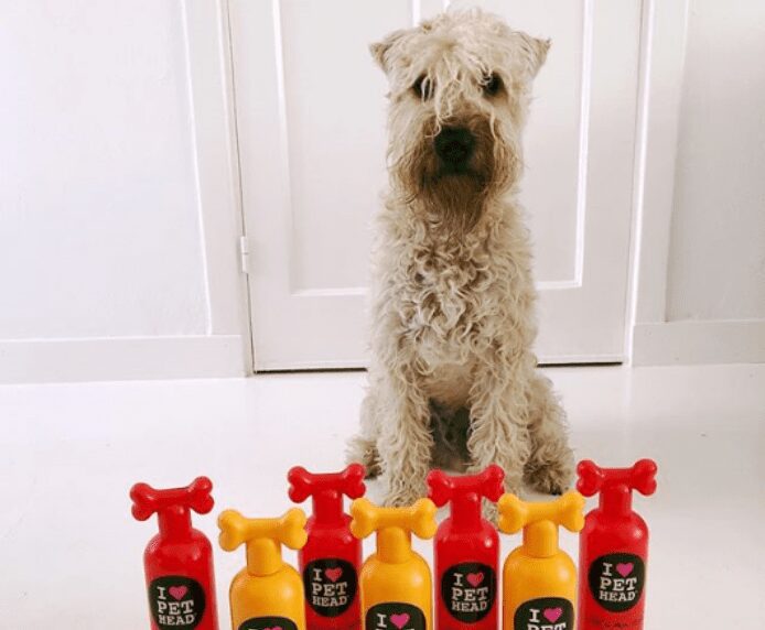 A clean dog next to a selection of Pet Head Products