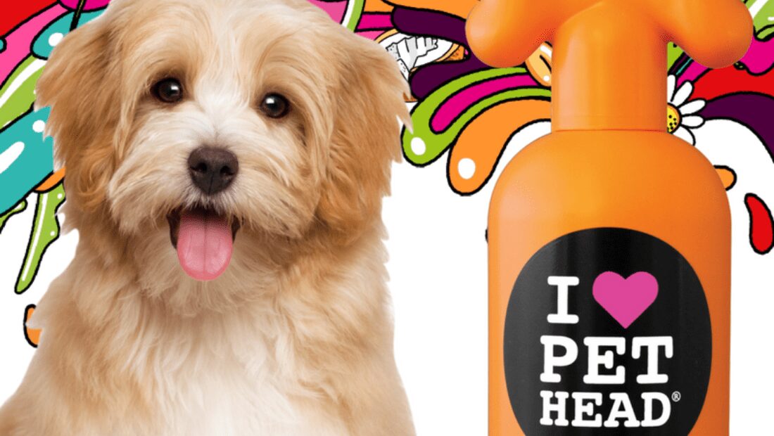 A dog smiling next to a Pet Head bottle