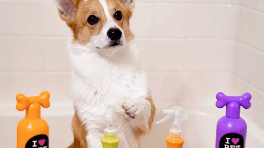 A dog in the bath with some Pet Head products