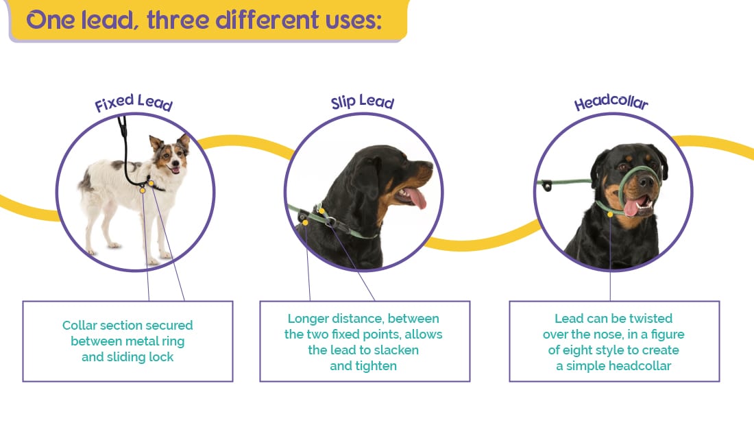 Company of Animals Training Lead - three different uses