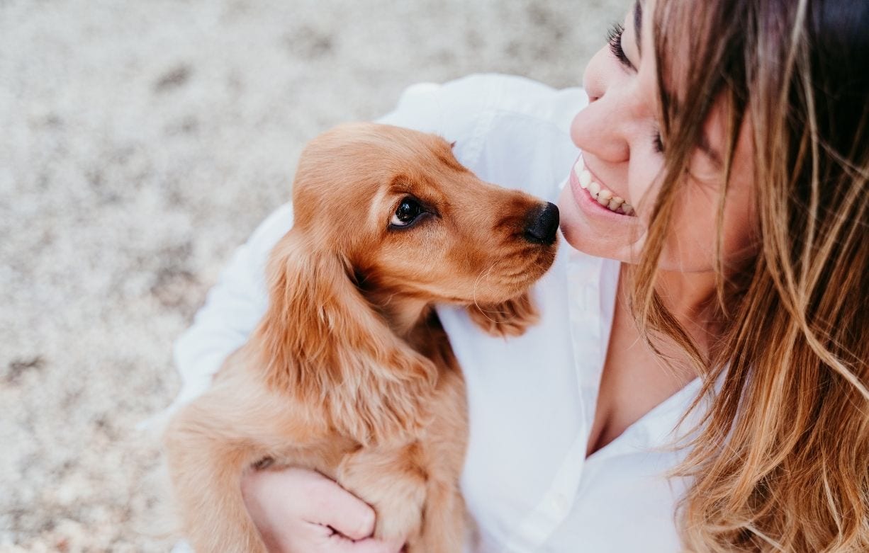puppy training
