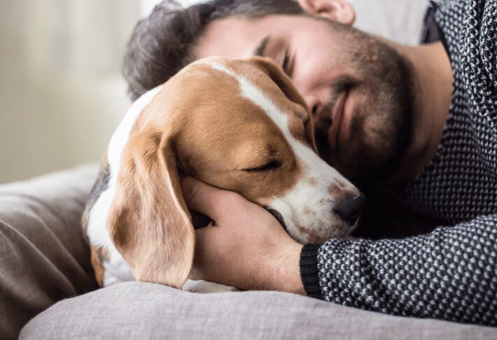 how do dogs show love