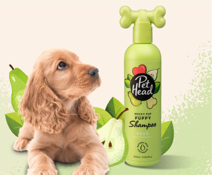 Product shot of the Pet Head Mucky Pup Shampoo with a cockapoo in the background