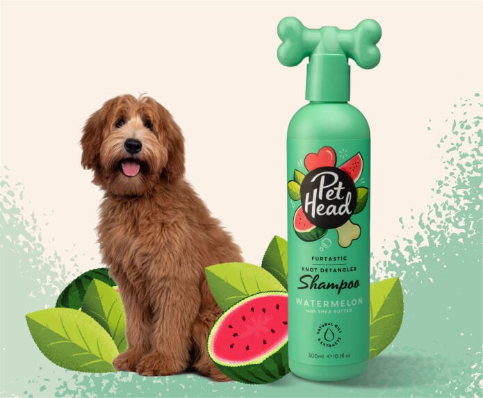 Product shot of the Pet Head Furtastic shampoo with a cockapoo in the background