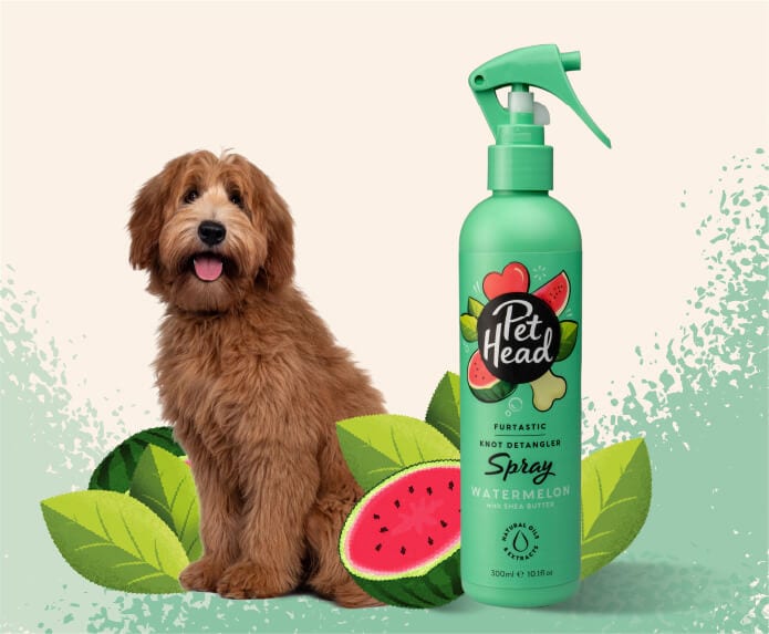 Product shot of the Pet Head Furtastic spray with a cockapoo in the background