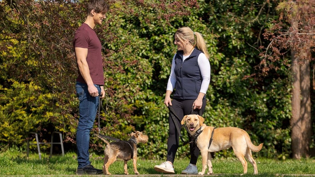 Dog walking etiquette