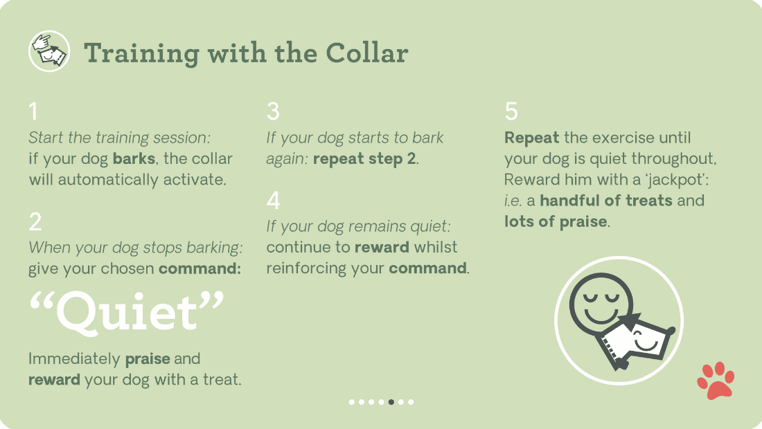 Training with the Pavlov collar guide