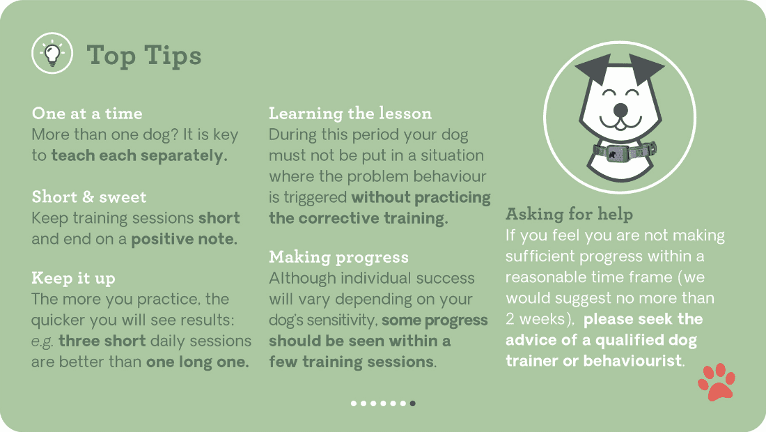 Top Tips for using the Pavlov No Bark Collar