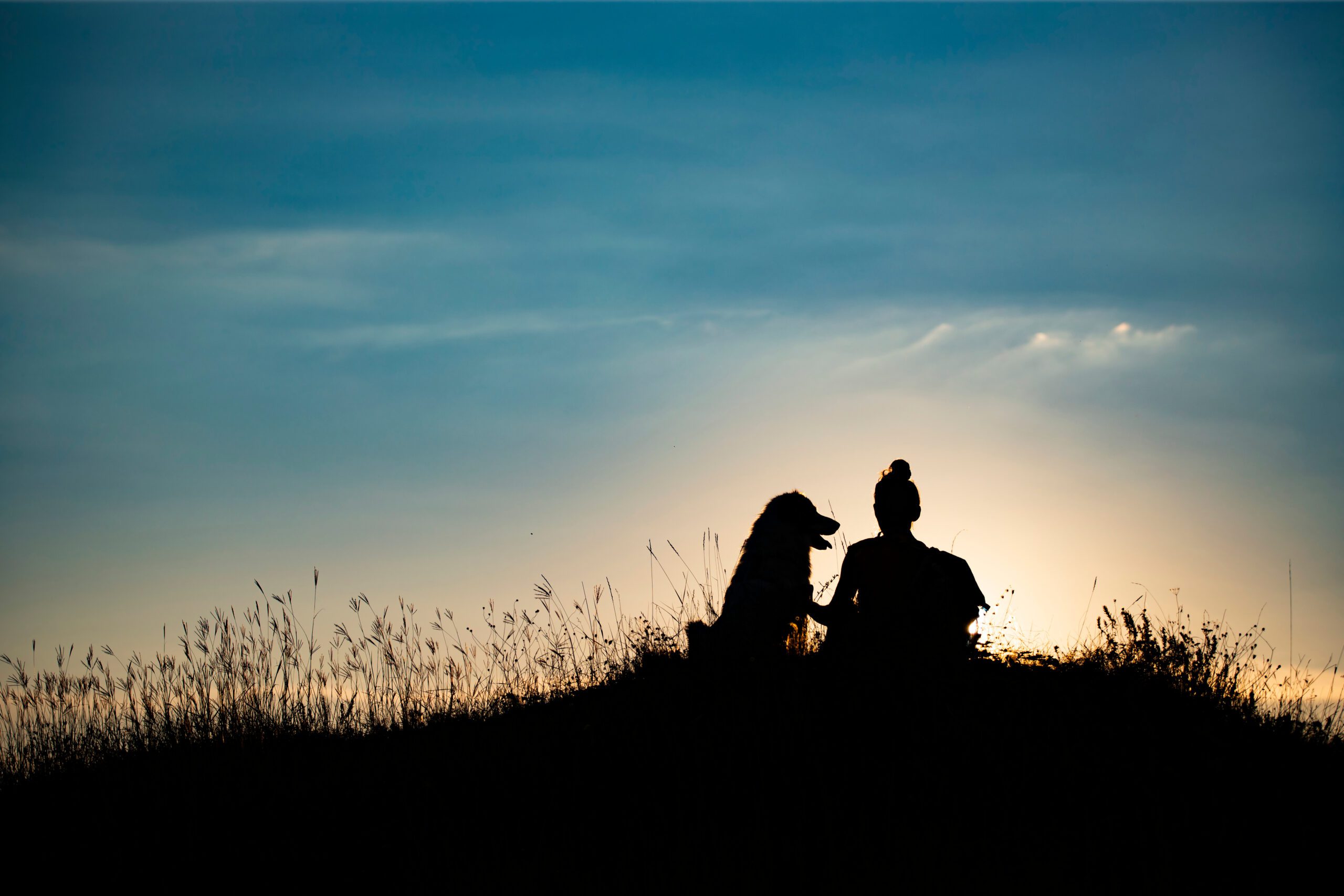 Silhouette of young woman with her dog in the sunset outdoor.