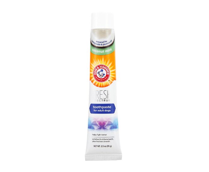 Arm & Hammer Dog Toothpaste