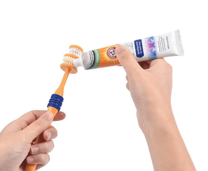 Arm & Hammer Dog Toothpaste