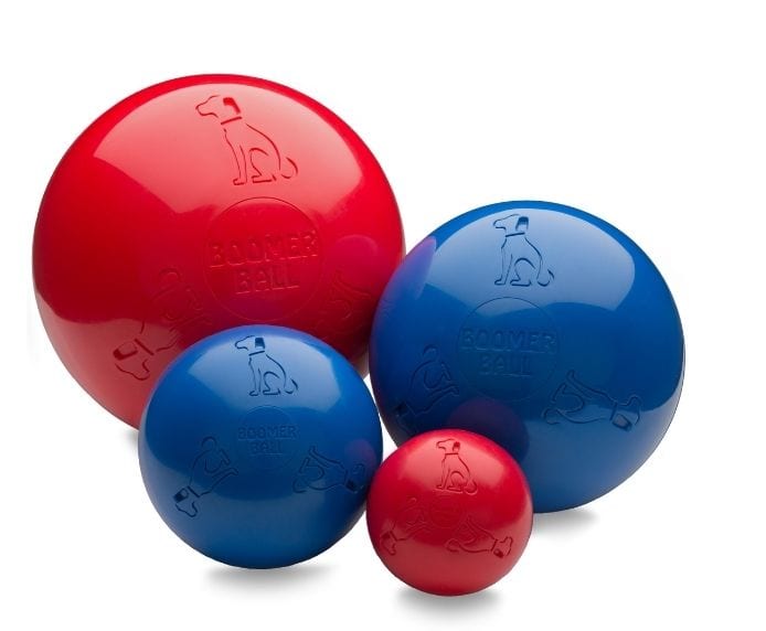 All four sizes of Boomer Ball in blue and red