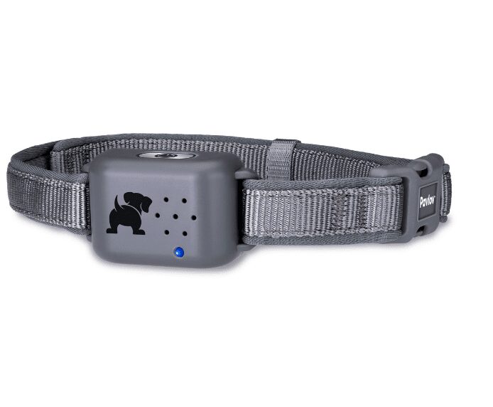 Pavlov Digital No Bark Collar