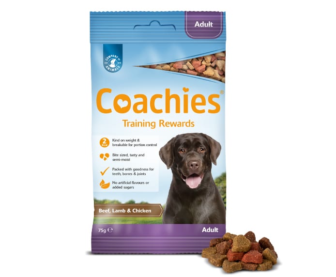 Coachies Adult Training Rewards