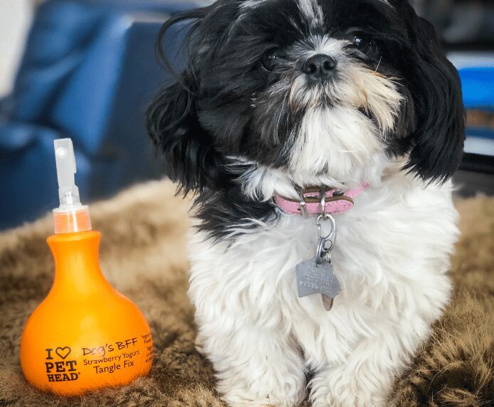 A very clean and pleased dog next to Pet Head Dog's BFF Spray