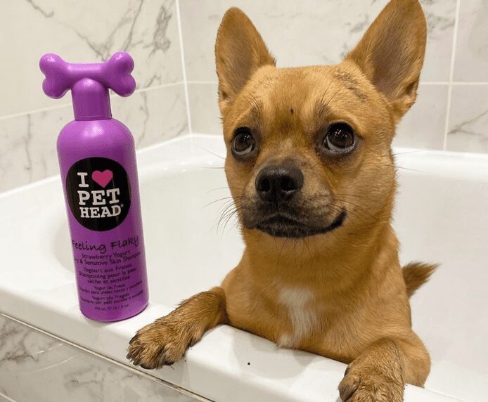 A dog in the bath next to a Pet Head Feeling Flaky