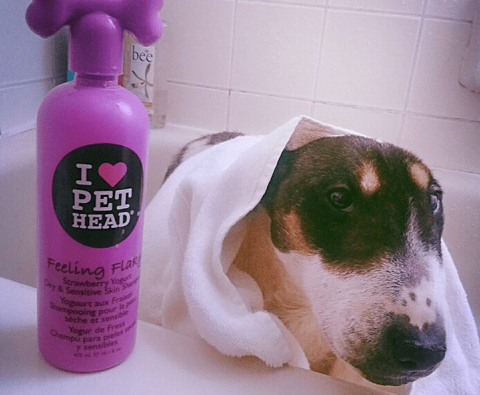 A dog in a towel next to a bottle of Feeling Flaky