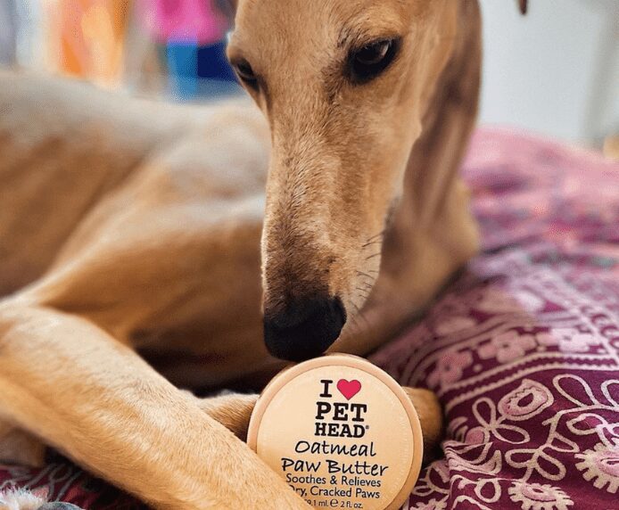 a whippet next to a bottle of Pet Head Oatmeal Paw Butter