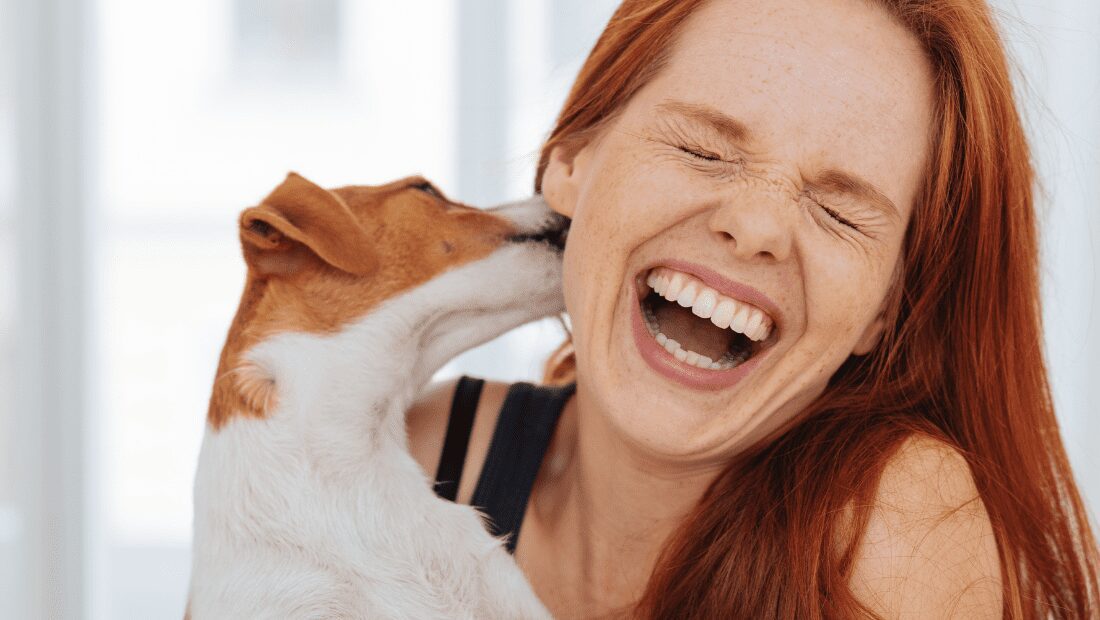 A small dog licking a laughing woman's ear