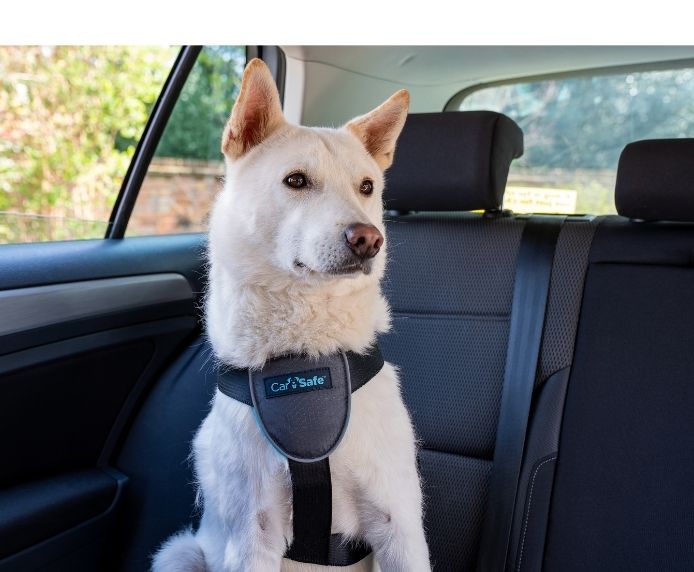 CarSafe Dog Travel Car Harness Medium dog