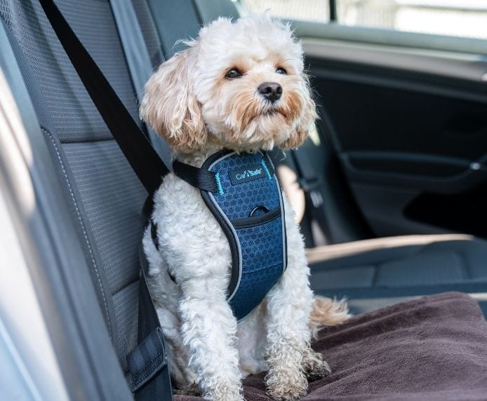 Crash Tested Dog Travel Harness Lifestyle Dog in car