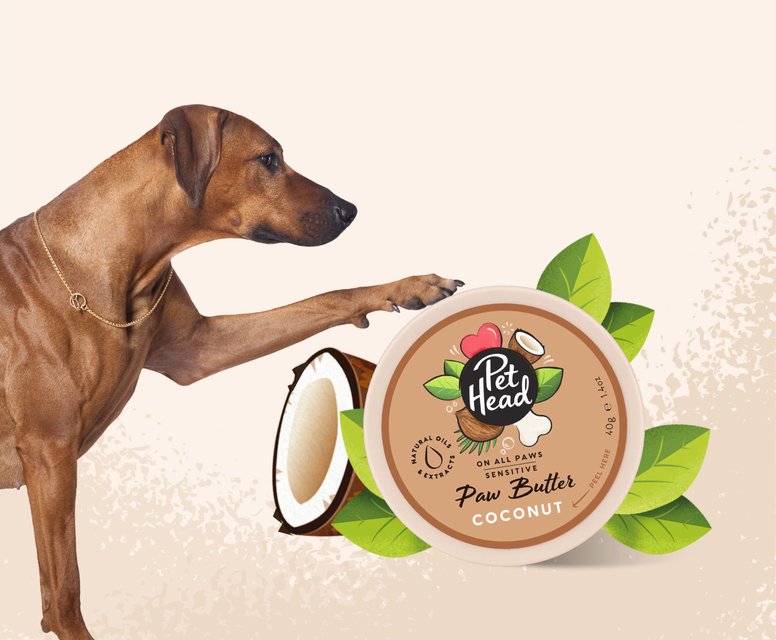 Ridgeback putting his paw on a giant tub of paw butter