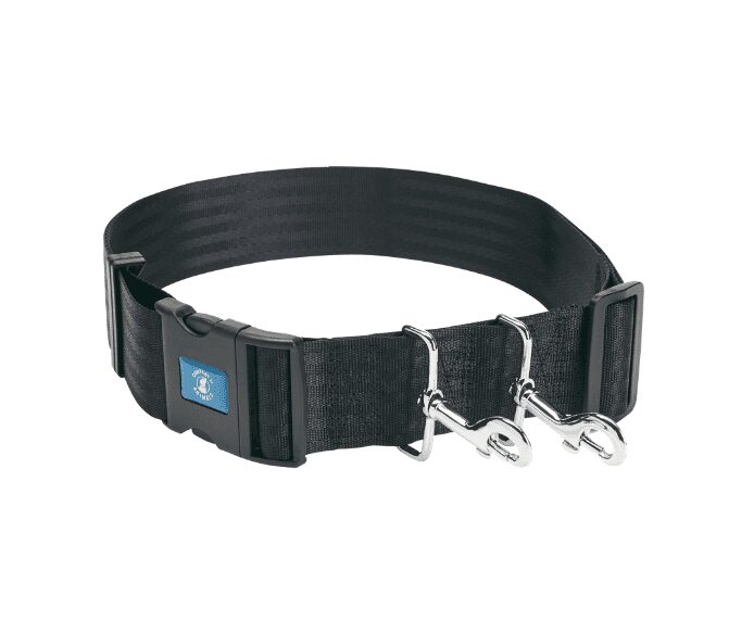 Company of Animals Hands Free Belt