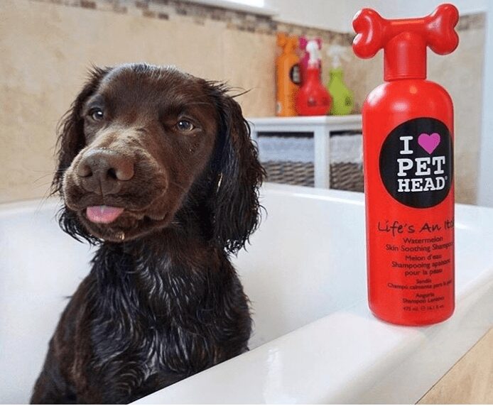 A dog in a bath next to a Pet Head Life's an Itch