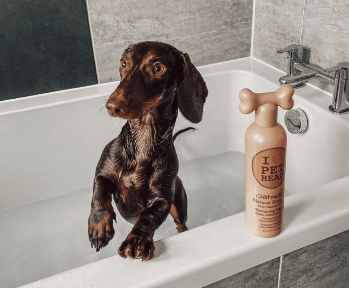 A wet dog in a bath next to a bottle of Pet Head Oatmeal Natural Shampoo