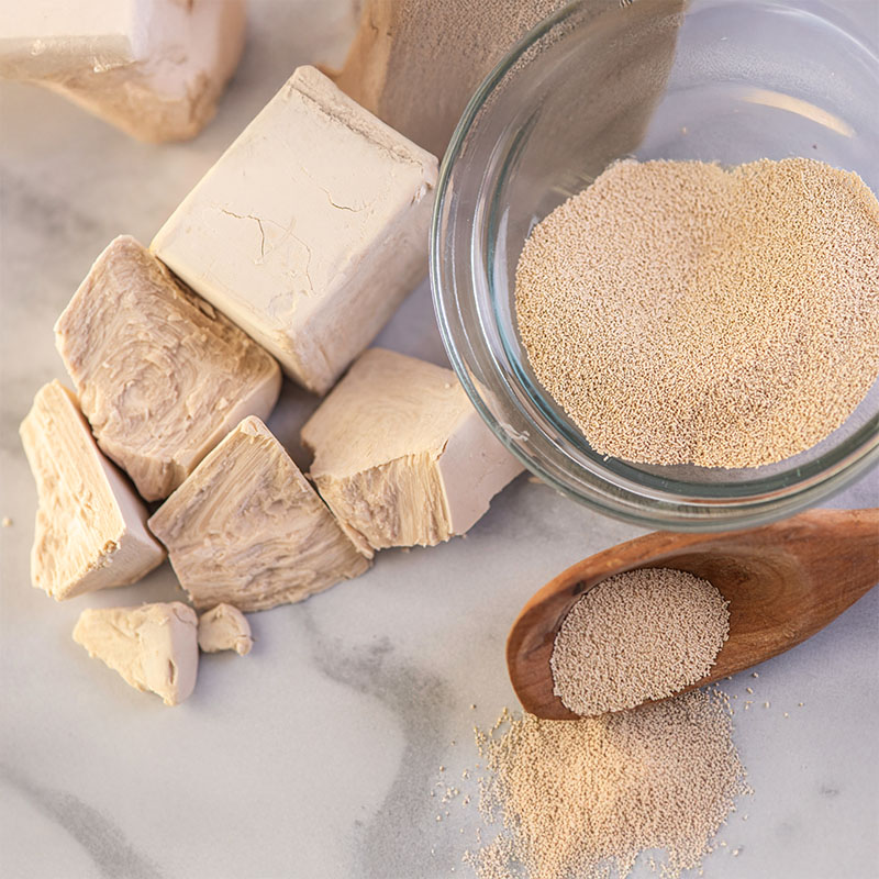 Fermento de Saccharomyces