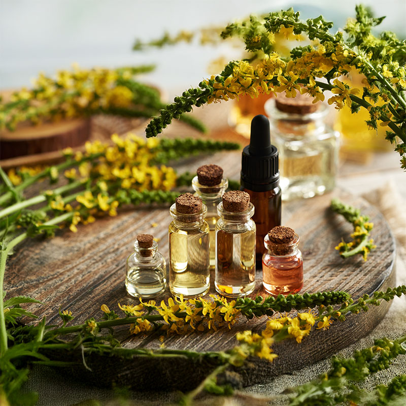 Complejo vitamínico B3, B5, B6 y E