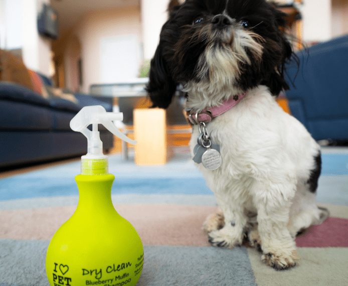 A dog next to a bottle of Dry Clean Spray
