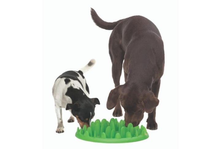Two dogs using the Catch Green Slow Feeder