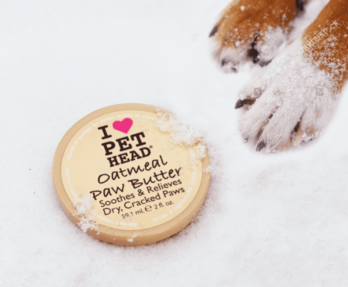 Dog's paws with a tub of Pet Head Oatmeal Paw Butter