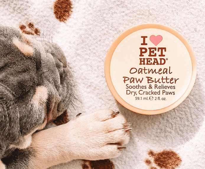 A dog laying next to Pet head Oatmeal Paw Butter