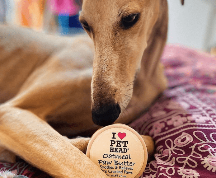 a whippet next to a bottle of Pet Head Oatmeal Paw Butter