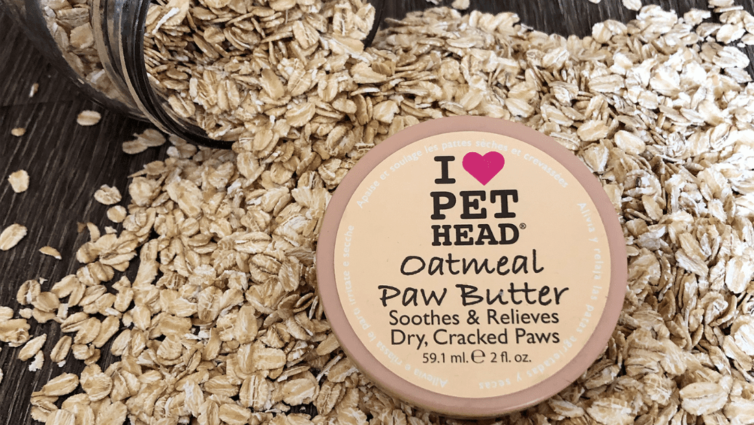 Pet Head Oatmeal Paw Butter