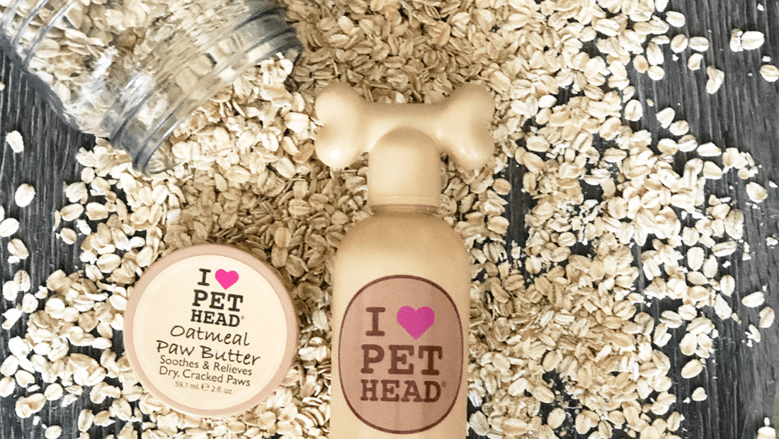 Pet Head Oatmeal Shampoo and Oatmeal Paw Butter