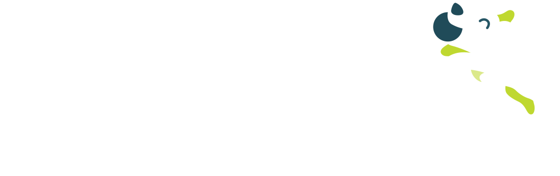 Coachi logo with white out text