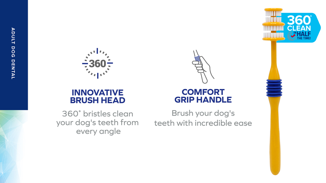 Features for Arm & Hammer 360 Toothbrush