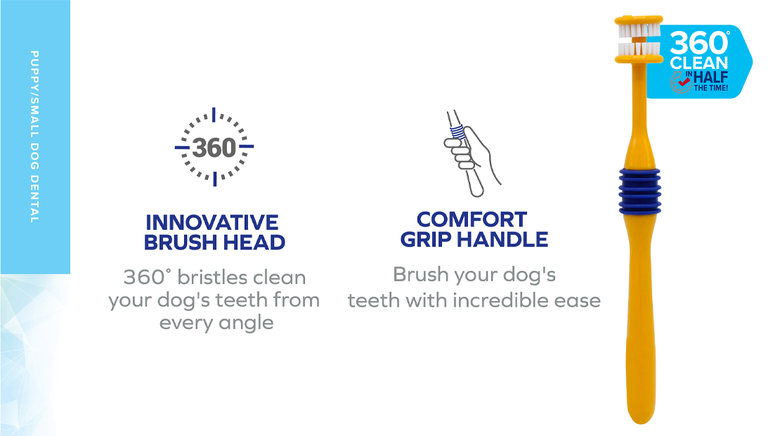 Features for Arm & Hammer 360 Toothbrush