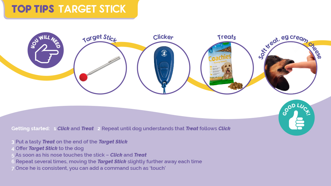 Top Tips for using the Company of Animals Target Stick