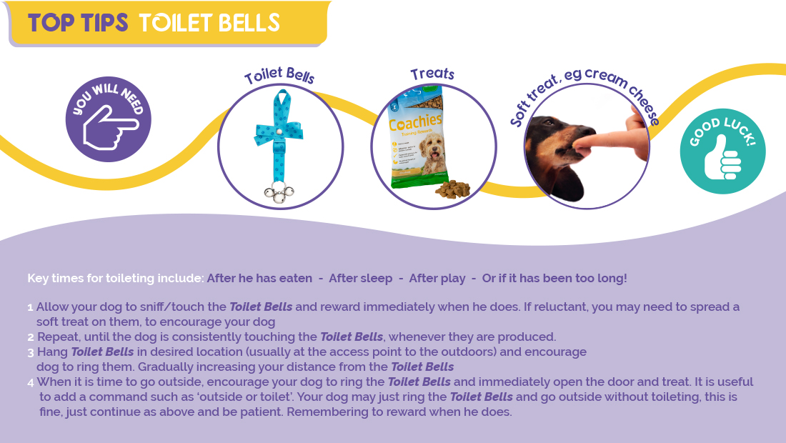 Top Tips for using Company of Animals Toilet Bells