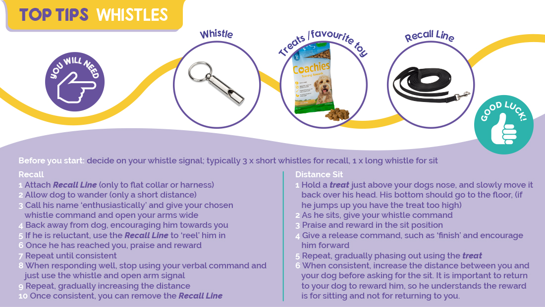 Top Tips for using Company of Animals Whistles