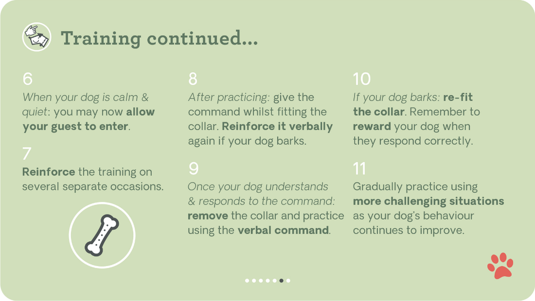 Training tips with the Pavolv No Bark Collar